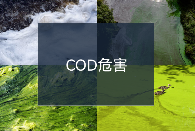 ����ͻ��-������κ�����_MG������Ϸ